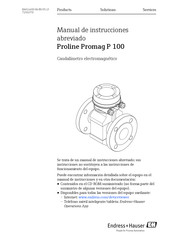 Endress+Hauser Proline Promag P 100 Manual De Instrucciones Abreviado