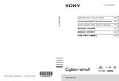 Sony Cyber-shot DSC-WX170 Guia Del Usuario
