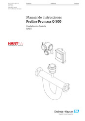 Endress+Hauser Proline Promass Q 500 Manual De Instrucciones