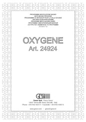 Gessi OXYGENE 24924 Manual Del Usuario