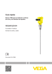 Vega VEGAFLEX 81 Guía Rápida