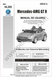 Pekecars HL289 Manual De Usuario