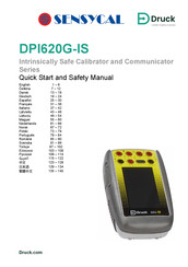 Druck Communicator DPI620G-IS Manual Del Usuario