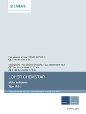 Siemens LOHER CHEMSTAR 1PS1 Instrucciones De Servicio/Instrucciones De Montaje