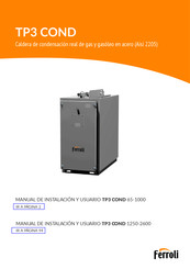 Ferroli 0RGP00XA Manual De Instalación Y Usuario