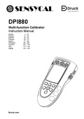 Baker Hughes Druck DPI 880 Manual De Instrucciones