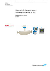 Endress+Hauser Proline Promag H 500 Manual De Instrucciones