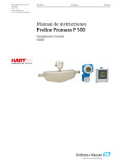 Endress+Hauser Proline Prosonic Flow P 500 Manual De Instrucciones