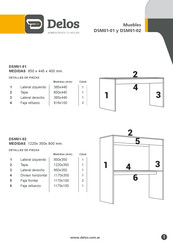 Delos DSM01-01 Instrucciones De Montaje