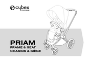 Cybex Platinum 521003831 Instrucciones De Uso