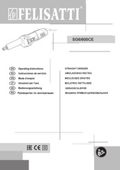 Felisatti SG6/600CE Instrucciones De Servicio