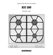 Gaggenau KG 260 Instrucciones De Uso Y De Montaje