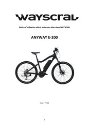 Wayscral ANYWAY E-200 Instrucciones De Utilizacion