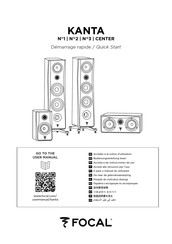 Focal THEVA 2 Guía Rápida