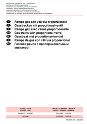 Riello CG 220/P Instrucciones De Instalación, Montaje Y Funcionamiento