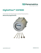 Panametrics DigitalFlow XGF868i Manual De Programación