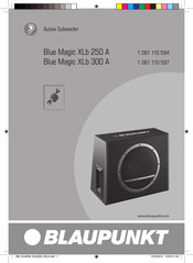 Blaupunkt Blue Magic XLb 250 A Manual Del Usuario