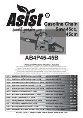 Asist AB4P45-45B Instrucciones De Uso