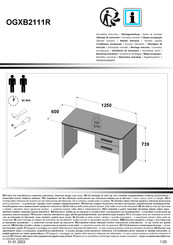 Forte OGXB2111R Instrucciones De Montaje