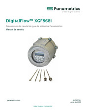 Baker Hughes Panametrics DigitalFlow XGF868i Manual De Servicio