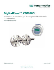 Baker Hughes Panametrics DigitalFlow XGM868i Manual De Servicio