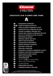 Carrera EVO FLAMES AND FAME 20025245 Manual