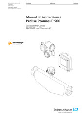 Endress+Hauser Proline Prosonic Flow P 500 Manual De Instrucciones