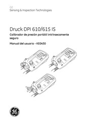 GE Druck DPI 610 Manual Del Usuario