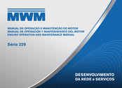 MWM 229.4 Manual De Operación Y Mantenimiento