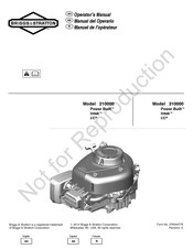 Briggs & Stratton I/C 310000 Manual Del Operario