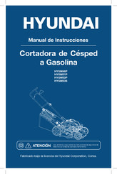 Hyundai HYGM46P Manual De Instrucciones