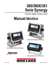 Rice Lake Weighing Systems Synergy 381 Manual Tecnico