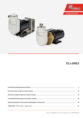 Bühler technologies P2. AMEX Serie Guía Rápida
