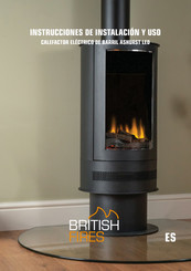 British Fires ASHURST Instrucciones De Instalacion Y Uso