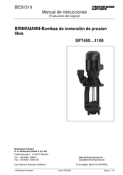 BRINKMANN PUMPS SFT1100 Serie Manual De Instrucciones