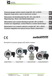 ICS Schneider Messtechnik SwitchGauge PGS23.160 Manual De Instrucciones