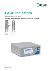 Druck PACE1000 Instrucciones De Seguridad Y Guía De Instalación