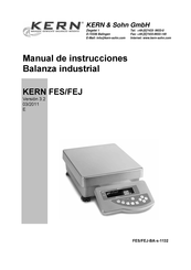 KERN FES 62K0.1 DIPM Manual De Instrucciones