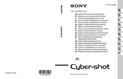 Sony DSC-S2100 Manual De Instrucciones