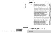 Sony Cyber-shot DSC-S3000 Manual De Instrucciones