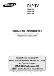 Samsung SP61L3HX Manual De Instrucciones