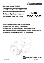 MarelliGenerators MJB 250 Instrucciones Y Advertencias De Seguridad