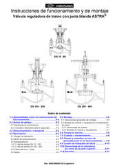 ARI-Armaturen DN 250-400 Instrucciones De Funcionamiento Y De Montaje