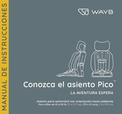 Wayb Pico Manual De Instrucciones