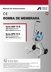 Anest Iwata DDP 70 B.TE Manual De Instrucciones