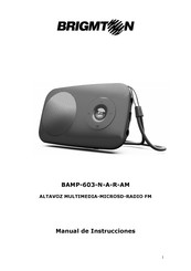 Brigmton BAMP-603-R Manual De Instrucciones