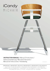 iCandy MICHAIR Manual De Instrucciones