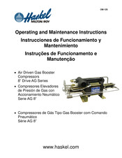 Haskel OM-12S Instrucciones De Funcionamiento Y Mantenimiento