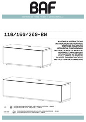 BAF 110/160/260-BW Instrucciones De Montaje