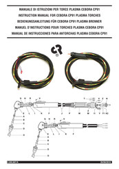 Cebora CP91 Manual De Instrucciones